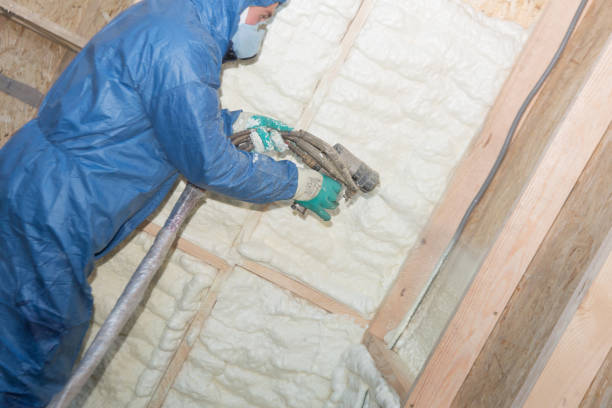 Eco-Friendly or Green Insulation Solutions in Colby, WI